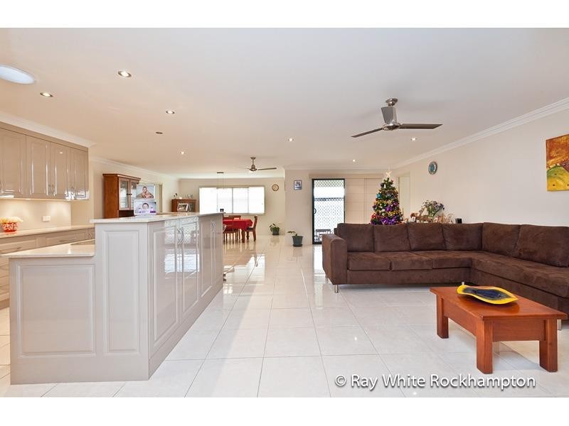 17 Treefern Terrace, Frenchville QLD 4701