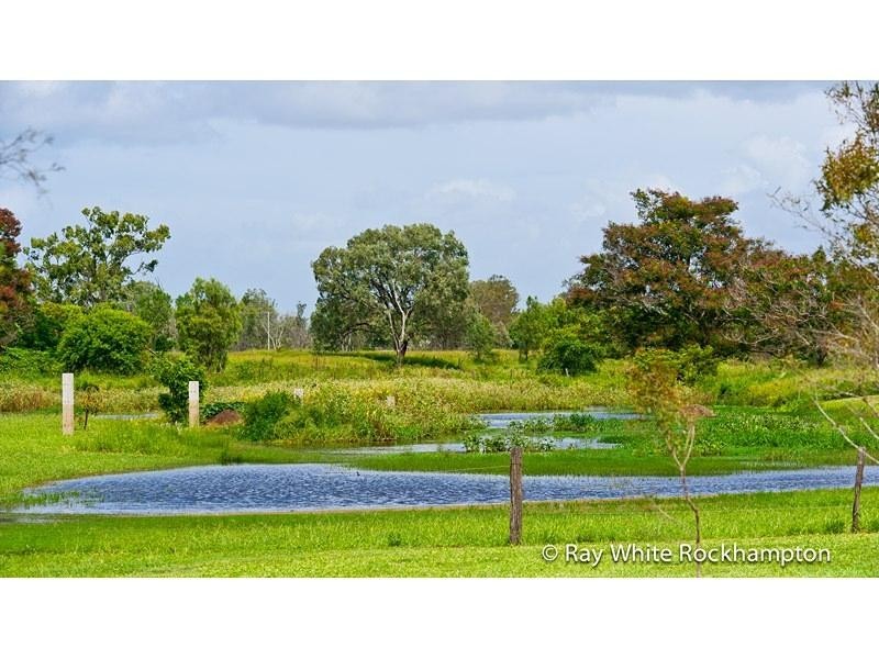 33 Burderkin Road, Nerimbera QLD 4701