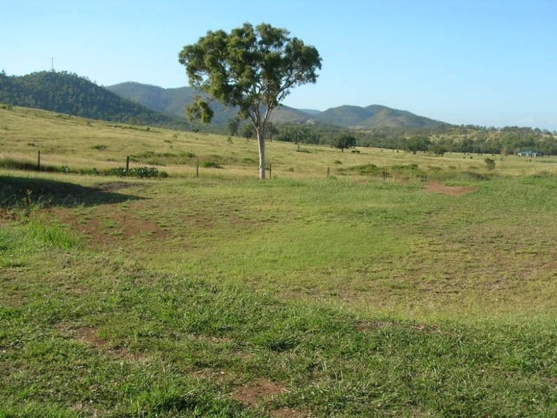 6 Ainsley Court, Rockyview QLD 4701