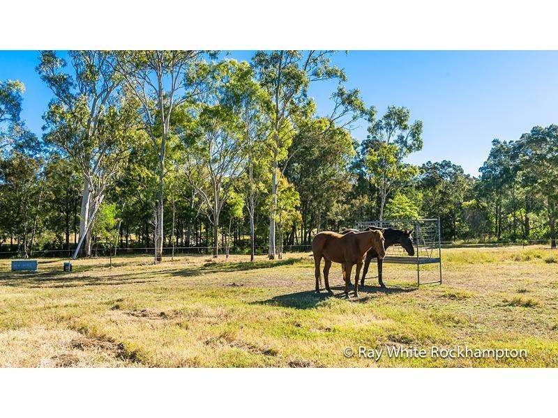 586 Cawarral Road, Cawarral QLD 4702