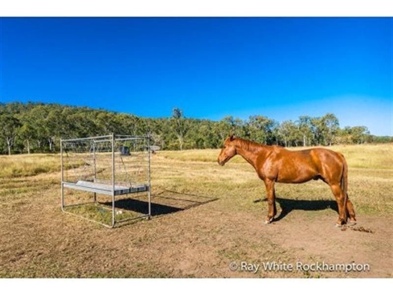 586 Cawarral Road, Cawarral QLD 4702