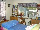 367 Philp Avenue, Frenchville QLD 4701