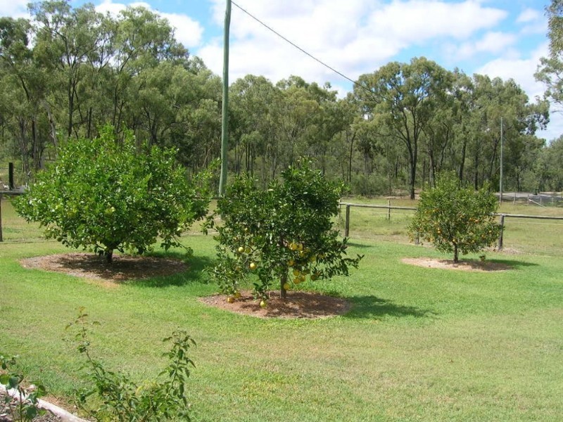 14 Ballard Street, Lakes Creek QLD 4701