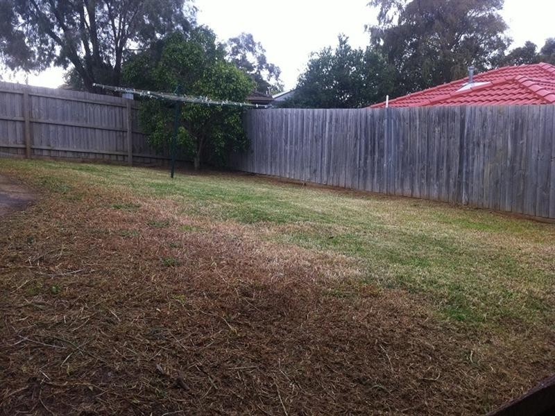 29 Southgate Way, Langwarrin VIC 3910