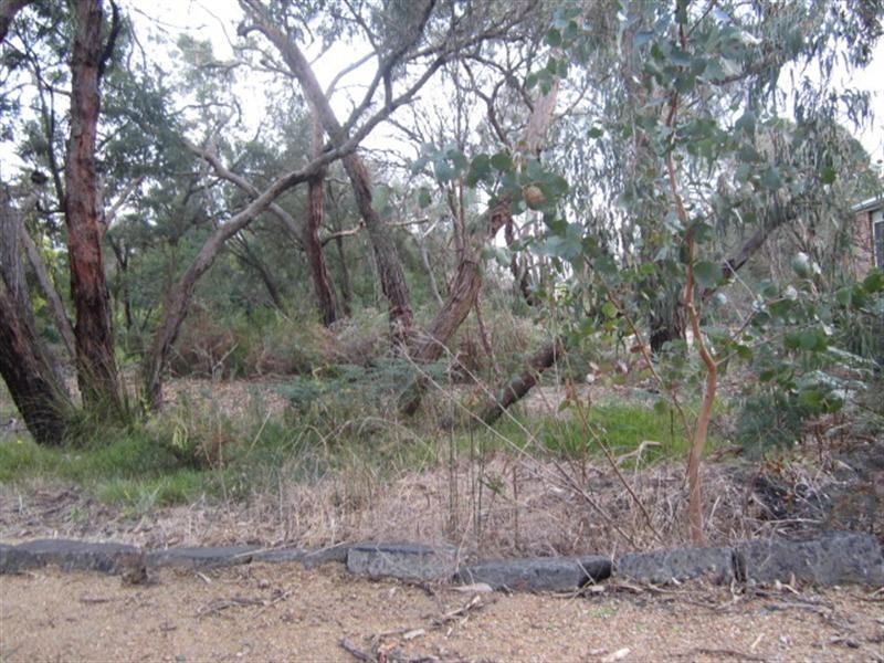 125 McKays Road, Langwarrin VIC 3910