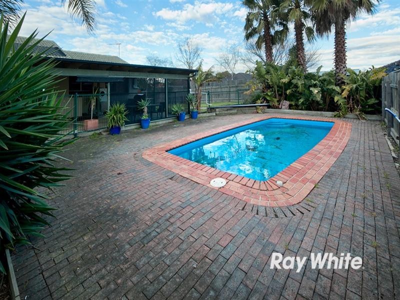41 Potts Road, Langwarrin VIC 3910