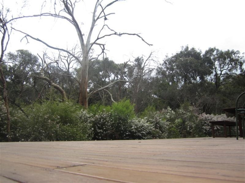 125 McKays Road, Langwarrin VIC 3910