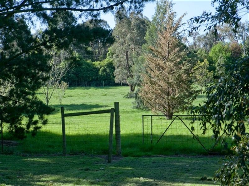 2 Bergman Road, Langwarrin VIC 3910