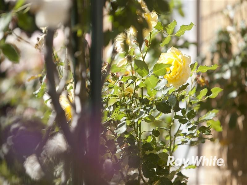 11 Rogan Court, Langwarrin VIC 3910