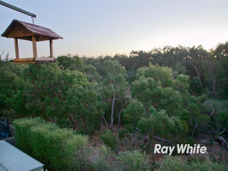 43 Lexton Drive, Langwarrin VIC 3910