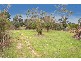 310 North Road, Langwarrin VIC 3910