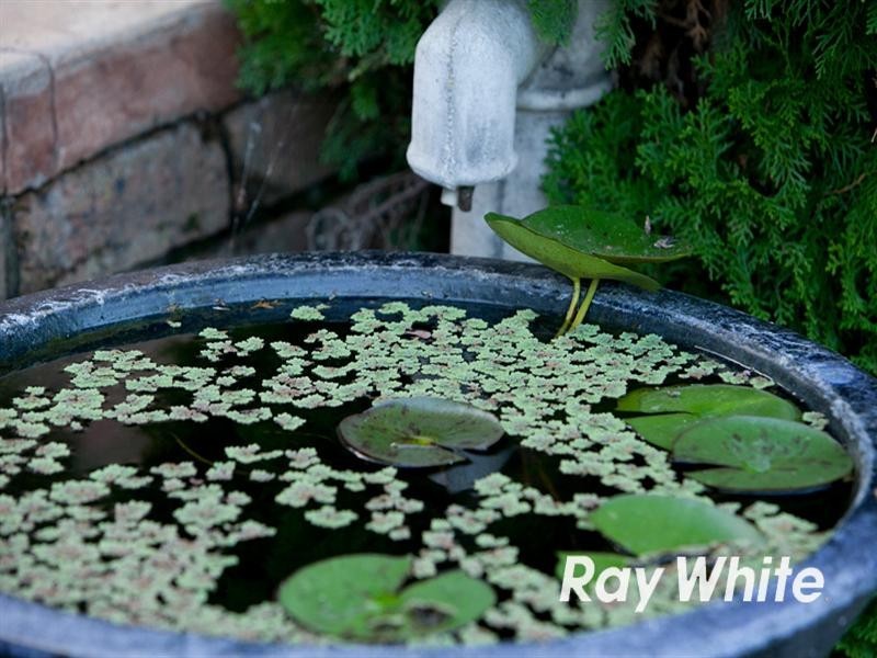 9 Yarralumla Drive, Langwarrin VIC 3910