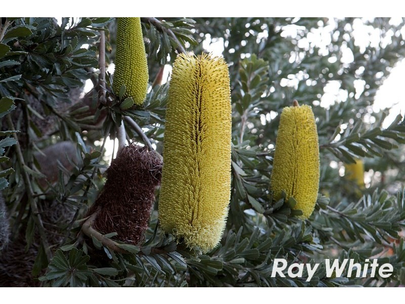 14 Nirvana Close, Langwarrin South VIC 3911