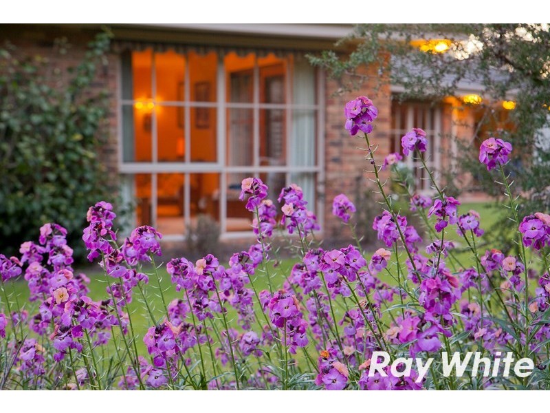 14 Nirvana Close, Langwarrin South VIC 3911