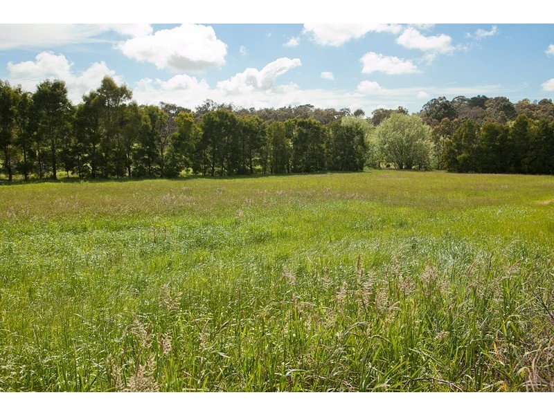 40 Newton Avenue, Langwarrin South VIC 3911