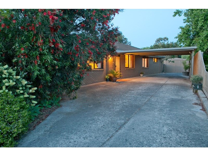 24 Burgess Drive, Langwarrin VIC 3910