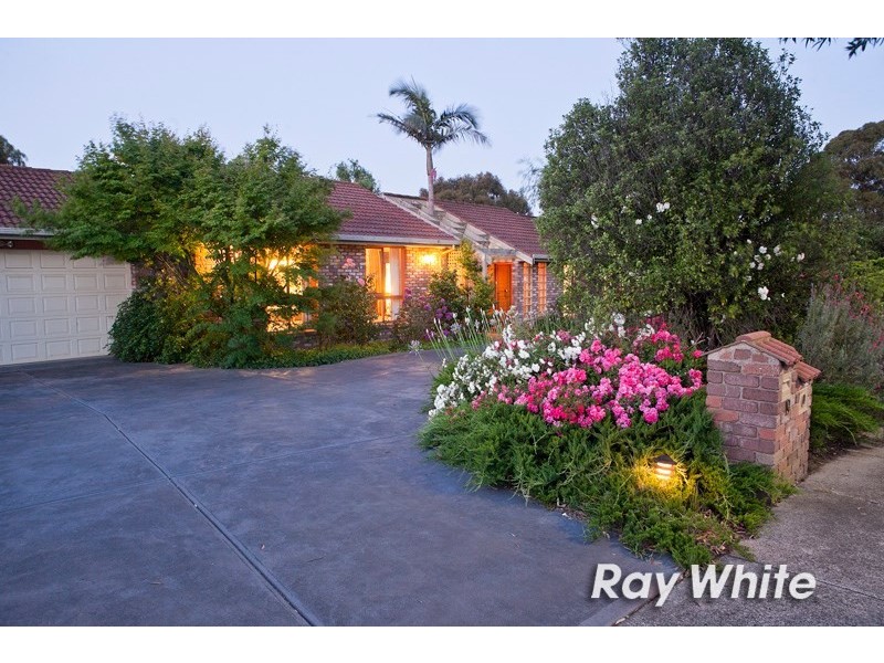 19 Yarralumla Drive, Langwarrin VIC 3910