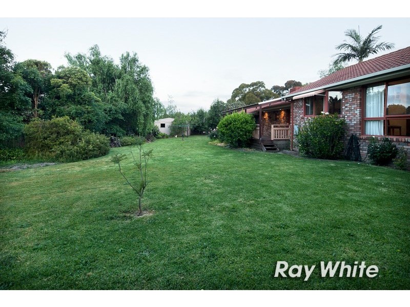 19 Yarralumla Drive, Langwarrin VIC 3910