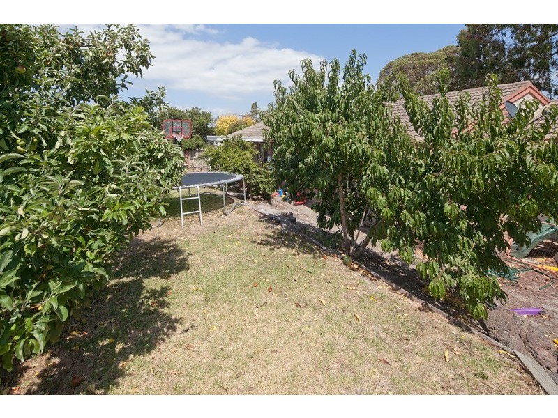 25 Melaleuca Crescent, Langwarrin VIC 3910