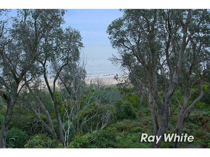 56 Kennedy Road, Somers VIC 3927