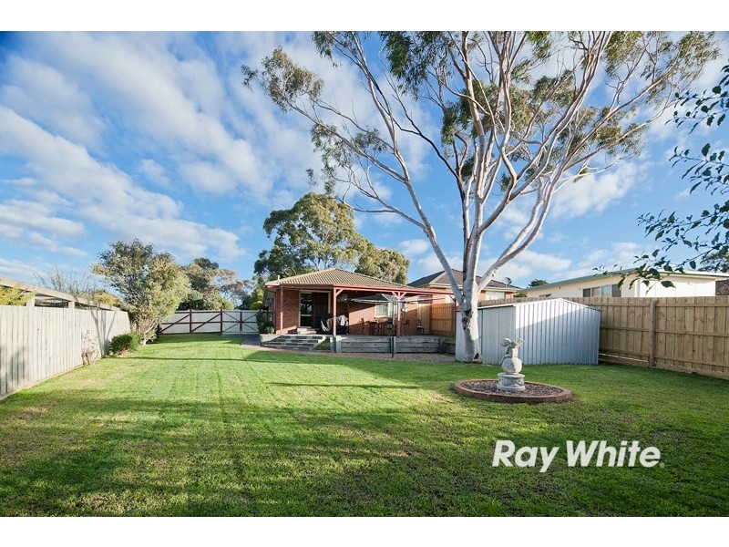 24 Richard Drive, Langwarrin VIC 3910