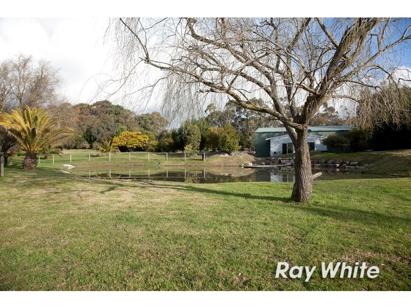 445 Robinsons Road, Langwarrin VIC 3910