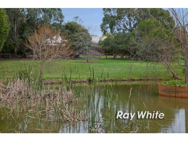 42 Bellbird Court, Langwarrin VIC 3910