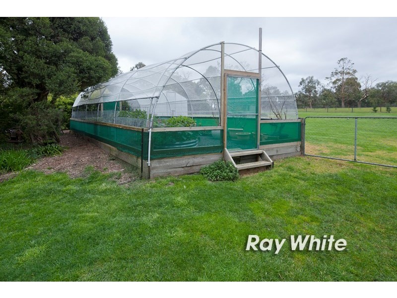 42 Bellbird Court, Langwarrin VIC 3910