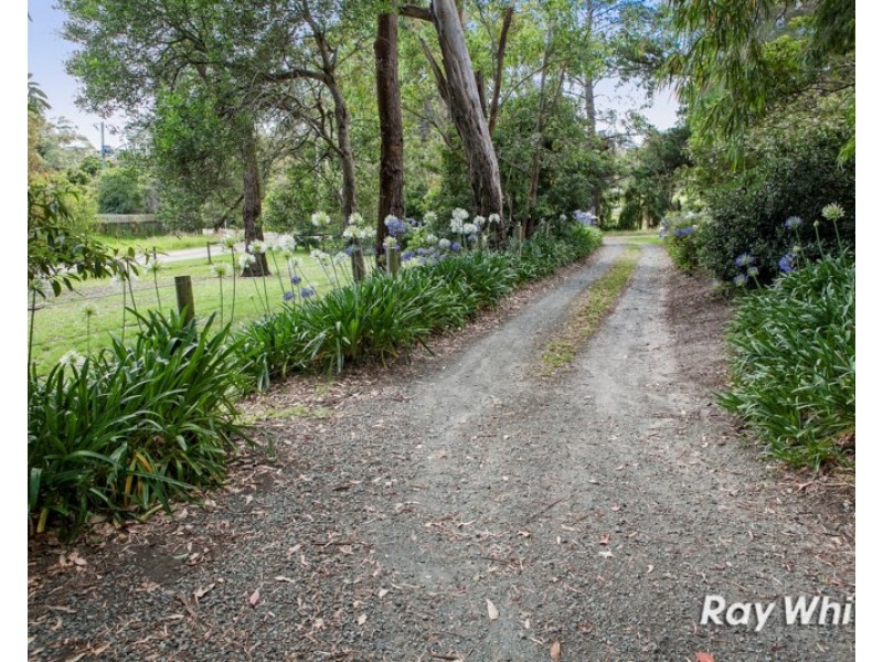 35 Gardeners Road, Langwarrin South VIC 3911