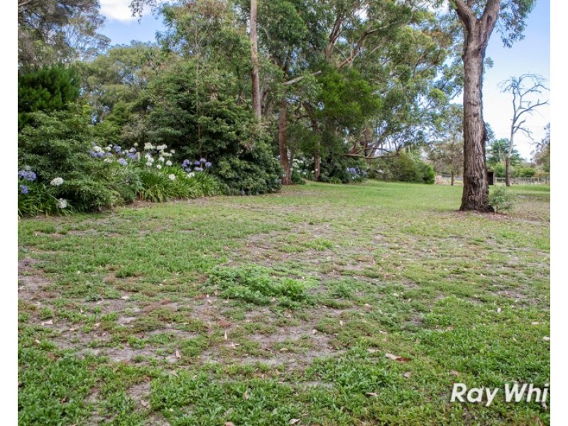 35 Gardeners Road, Langwarrin South VIC 3911