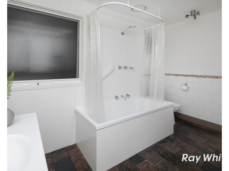 171 Warrandyte Road, Langwarrin VIC 3910