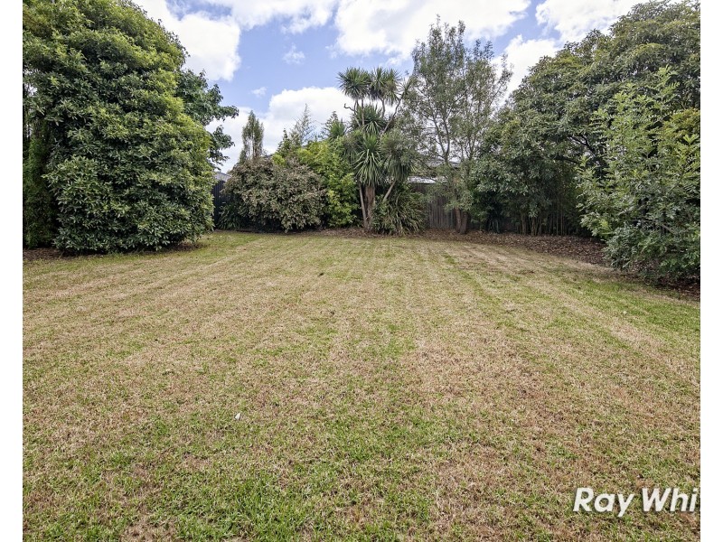 171 Warrandyte Road, Langwarrin VIC 3910