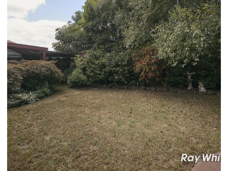 3 Cuneata Close, Langwarrin VIC 3910