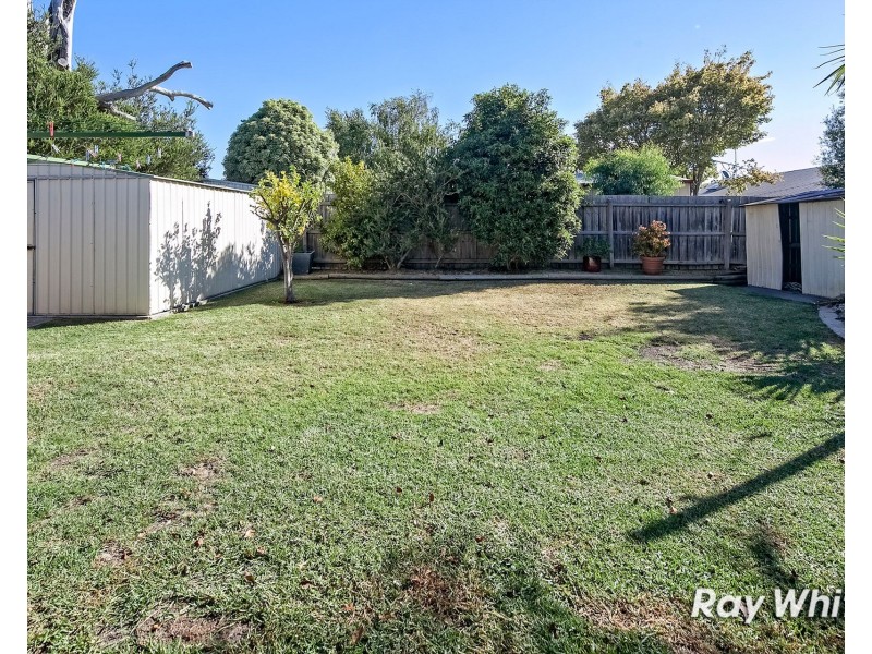 5 Cuneata Close, Langwarrin VIC 3910