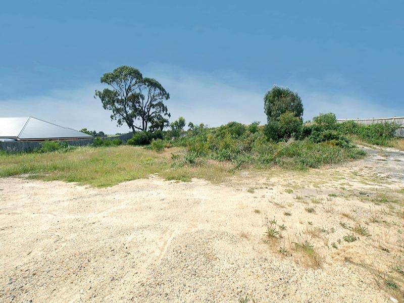 54 Apple Berry Avenue, Langwarrin VIC 3910