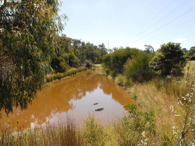 60 Oakhill Rd West, Pearcedale VIC 3912