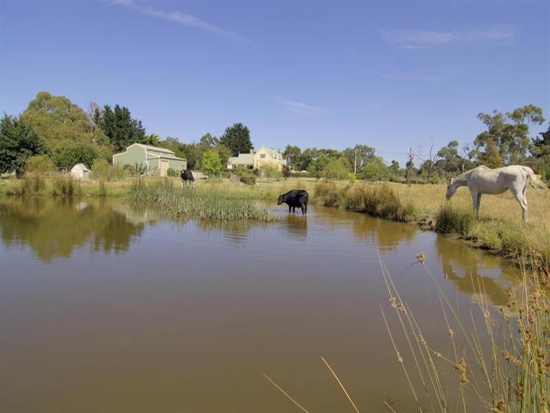 60 Newton Avenue, Langwarrin VIC 3910