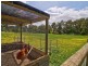 35 Kingston Road, Langwarrin VIC 3910