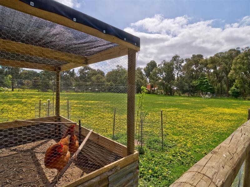35 Kingston Road, Langwarrin VIC 3910