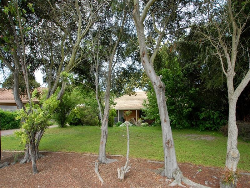3 Cotoneaster Way, Langwarrin VIC 3910