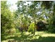 3 Cotoneaster Way, Langwarrin VIC 3910