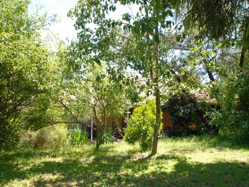 3 Cotoneaster Way, Langwarrin VIC 3910