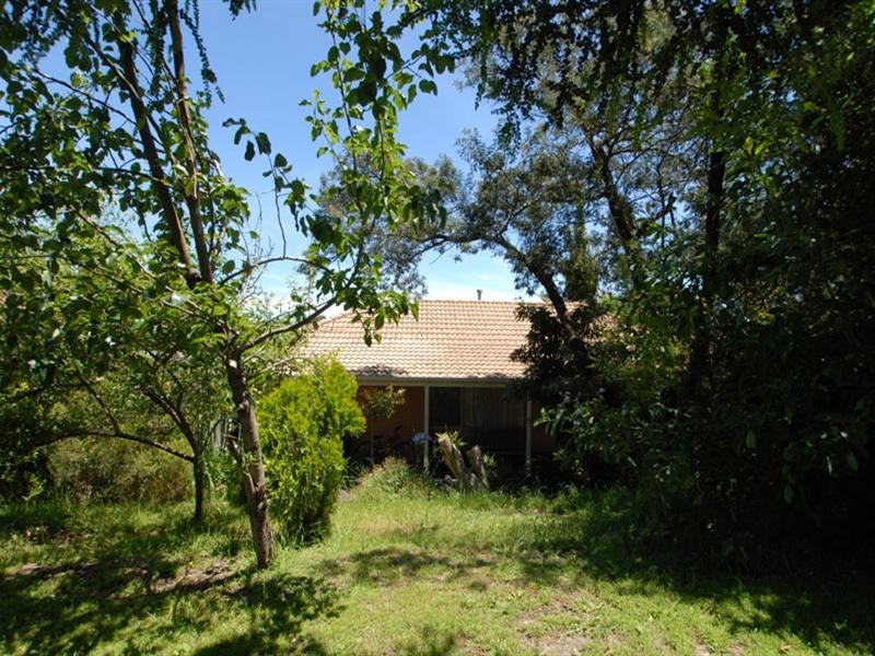 3 Cotoneaster Way, Langwarrin VIC 3910