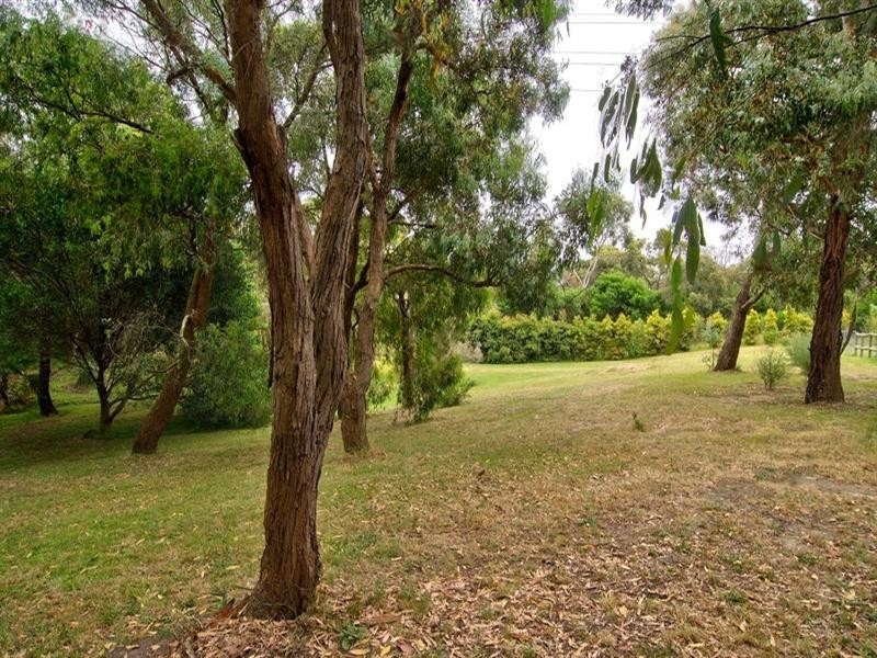 19 Bergman Road, Langwarrin VIC 3910