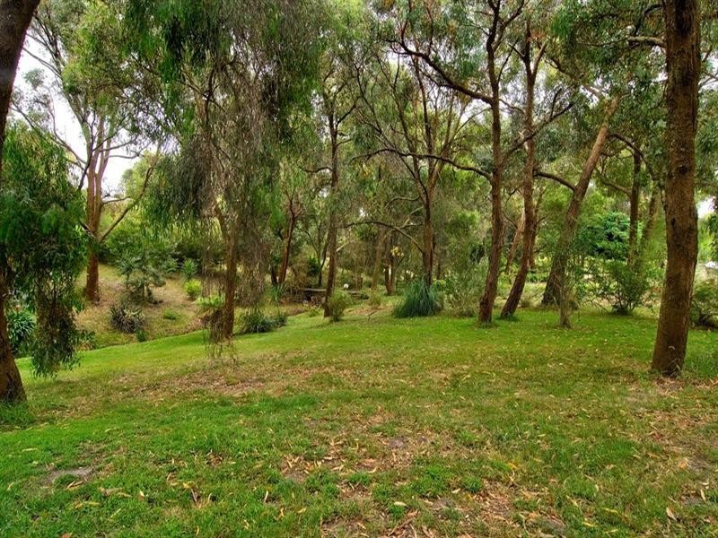 19 Bergman Road, Langwarrin VIC 3910