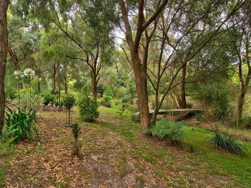 19 Bergman Road, Langwarrin VIC 3910