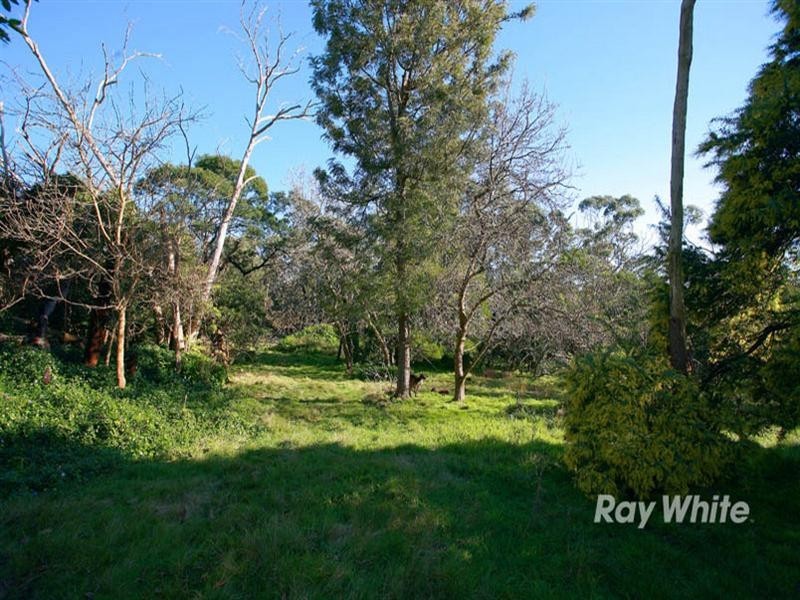 23 Grassmere Road, Langwarrin VIC 3910