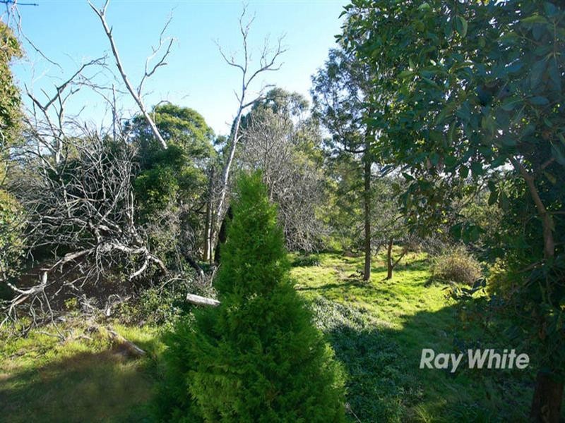 23 Grassmere Road, Langwarrin VIC 3910