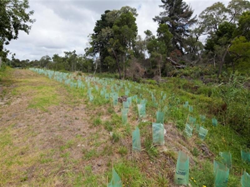 31 Kerry Street, Langwarrin VIC 3910