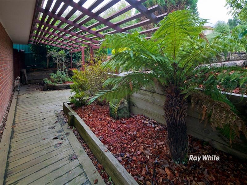 34 Melaleuca Crescent, Langwarrin VIC 3910